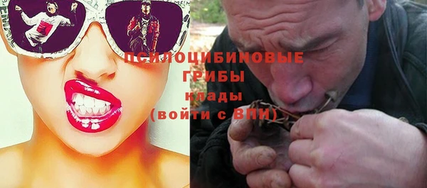 а пвп мука Алзамай