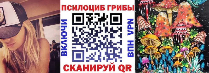МЕГА вход  Холм  Галлюциногенные грибы MAGIC MUSHROOMS  как найти наркотики 