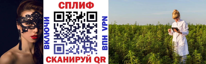 Конопля конопля  это наркотические препараты  Холм  где найти   omg ССЫЛКА 